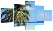Obraz palmy na plaży (125x70 cm)