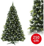Choinka sosnowa 250 cm