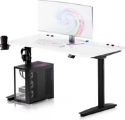 Elektryczne biurko dla graczy RGB Diablo X-Forge, 140x70 cm, biało-czarne