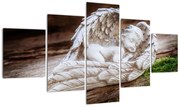 Obraz - Śpiący anioł (125x70 cm)