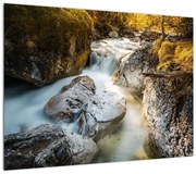 Obraz - Strumień leśny (70x50 cm)