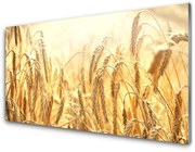Panel Szklany Zboże Pole Kłosy Natura