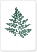 Plakat Fern Emerald Green