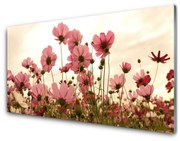 Panel Szklany Kwiaty Polne Łąka Natura