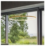 Ideal Lux - żyrandol LED na lince ORACLE SLIM LED/37W/230V 3000K, śr. 70 cm, złoty