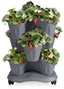 Kaskada kwiatowa na kółkach Trifoglio szary, 40 x 51 x 40 cm