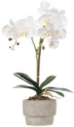 Sztuczny storczyk w doniczce z cementu ORCHI, 49 cm