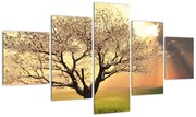 Obraz drzewa na łące (125x70 cm)