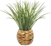 Sztuczna trawa w doniczce, 46 cm