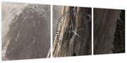 Zdjęcie z Parku Narodowego Yosemite Valley, USA (z zegarem) (90x30 cm)