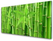 Obraz Akrylowy Bambus Łodyga Kwiat Roślina