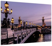 Obraz - Most Aleksandra III. w Paryżu (70x50 cm)