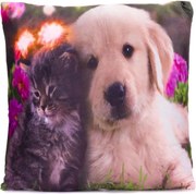 Poduszka dekoracyjna z oświetleniem LED Kot i pies - 38x38cm