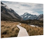 Obraz - Chodnik w dolinie góry Mt. Cook (70x50 cm)