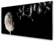 Panel Szklany Dmuchawiec Kwiat Krople