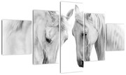 Obraz białych koni (125x70 cm)
