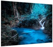 Obraz - Magiczna noc w tropikalnym lesie (70x50 cm)