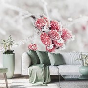 Fototapeta - Owoce mrożone (196x136 cm)