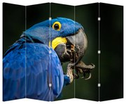 Parawan - Papuga (210x170 cm)