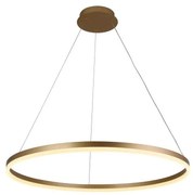 Brilagi - LED Żyrandol ściemnialny na lince CIRCLE LED/55W/230V 3000-6500K złoty+pilot