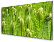 Panel Szklany Roślina Natura