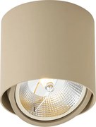 Nowoczesny uchylny reflektor sufitowy Taupe GU10 AR111 - Impact