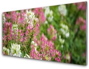 Obraz Akrylowy Kwiaty Polne Łąka Natura