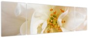 Obraz - Kwiat (170x50 cm)