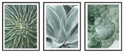Obrazy zestaw 3 szt. 30x40 cm – knor