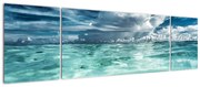 Obraz - Widok pod poziomem morza (170x50 cm)