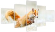 Obraz - Skaczący lis (125x70 cm)