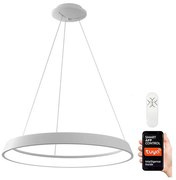 Immax NEO 07079L - LED Żyrandol ściemnialny na lince LIMITADO LED/39W/230V 60 cm+ZS