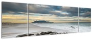 Obraz - Robben Island (170x50 cm)