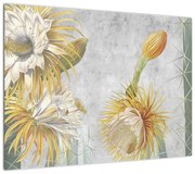 Obraz - Kwitnące kaktusy (70x50 cm)