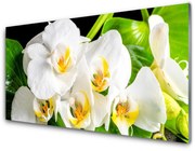 Panel Szklany Orchidea Kwiaty Natura