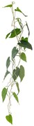 Sztuczny kwiat (wysokość 117 cm) Anthurium – Bloomingville