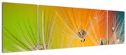 Obraz kropli na roślinie (170x50 cm)