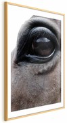 Plakat Szczere oczy 60x90 cm z ramą złotą z marginesem ARTGEIST B