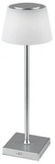Rabalux 76013 lampa stołowa LED Taena, 4 W, srebrny