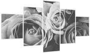 Obraz - Róża, czarno - biały (125x70 cm)