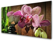 Obraz Akrylowy Kwiaty Bambus Roślina
