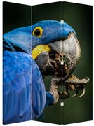 Parawan - Papuga (126x170 cm)