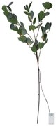 Zielona dekoracja świetlna LED Star Trading Eucalyptus, dł. 90 cm