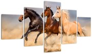 Obraz - Dzikie konie (125x70 cm)