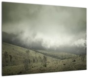 Obraz krajobrazu przed burzą (70x50 cm)