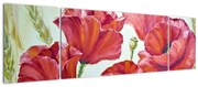 Obraz - Kwiaty maku (170x50 cm)