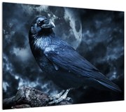 Obraz - Gawron (70x50 cm)