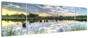 Obraz jeziora z trzcinami (170x50 cm)