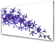 Panel Szklany Kwiaty Rośliny Natura