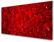 Panel Szklany Płatki Roślina Przyroda